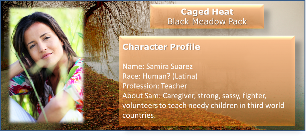 Character Profile Sam