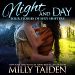 Night And Day Audiobook